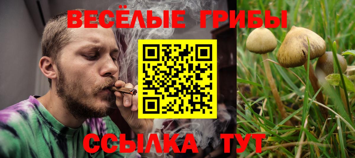 Галлюциногенные грибы MAGIC MUSHROOMS Дзержинский