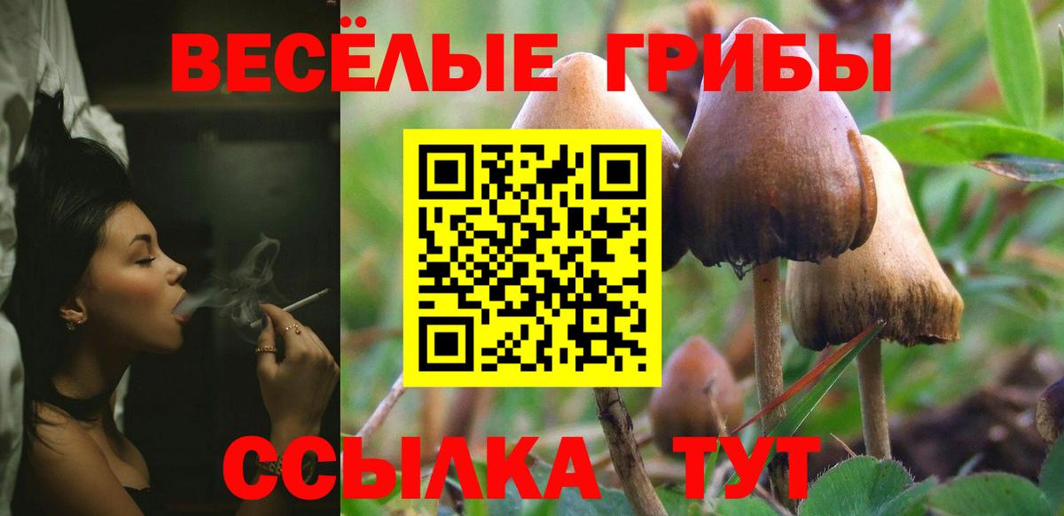 Псилоцибиновые грибы мицелий  Вход с VPN  Дзержинский 
